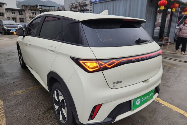 Used BYD Dolphin 2025 420km Free Edition