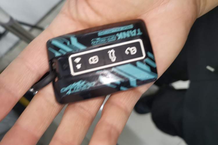 Used Tank 400 New Energy 2024 Hi4-T City Edition