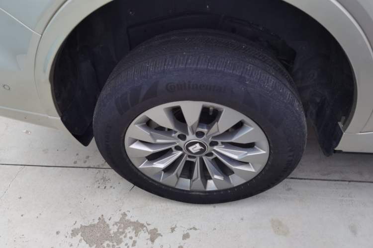 Used Tank 500 New Energy 2024 Hi4-T
