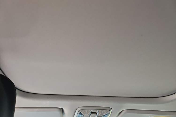 Used AION S Plus 2025 Comfort Version 53.241 kWh Headliner