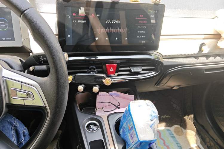 Used SOL E10X 2022 Flower Fairy Design Four-Leaf Clover