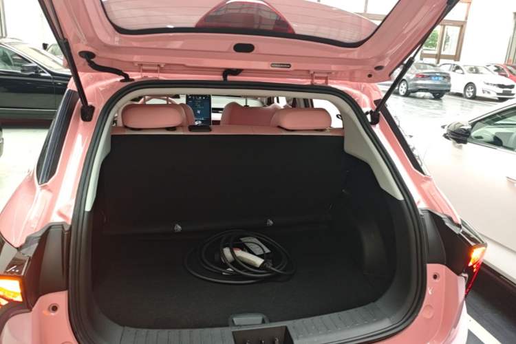 Used NETA V 2021 Witch Edition Trunk