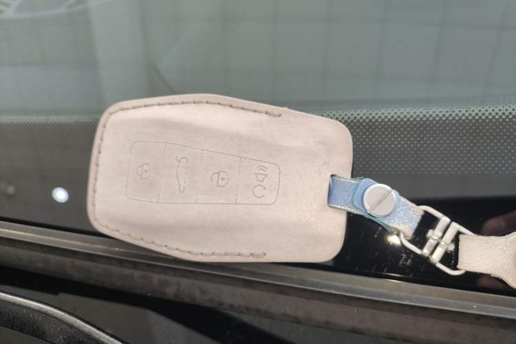 Used Geely Auto Monjaro L 2021 2.0TD DCT EVO Two-Wheel Drive Prestige Version
