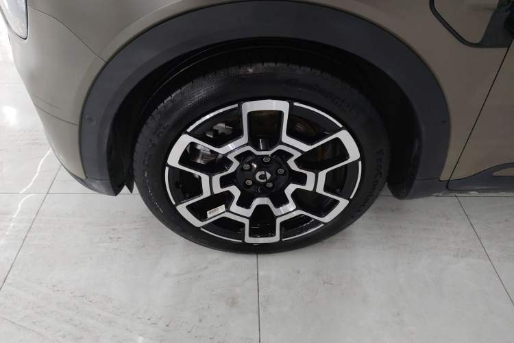 Used smart #5 2024 Jungle Realm Limited Edition