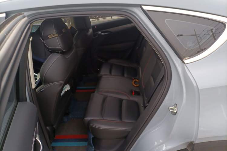 Used Geely Auto Monjaro S 2021 2.0TD DCT Two-Wheel Drive Lightning Edition Left Rear Seat