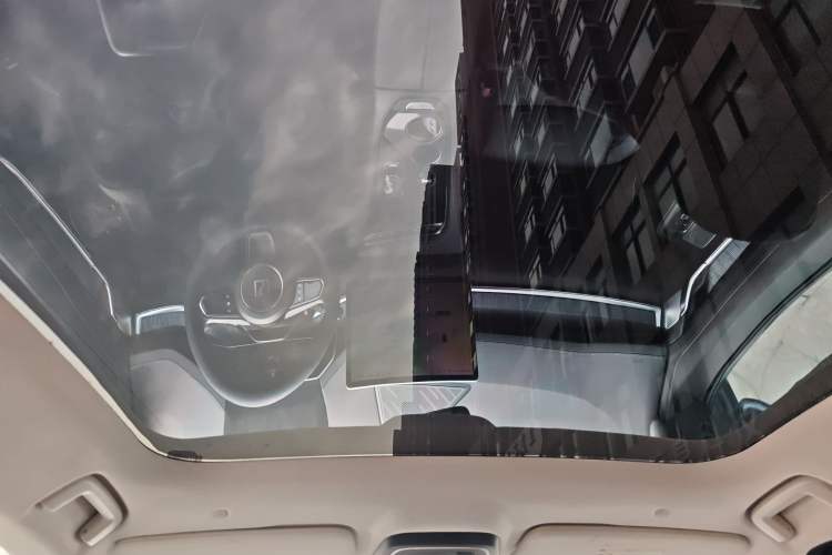 Used Zeekr 001 2021 Long-Range Dual-Motor WE Edition Headliner