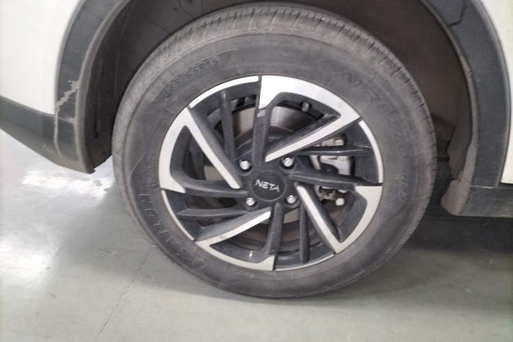 Used NETA V 2021 Long-Range Entertainment Edition Upgrade Model