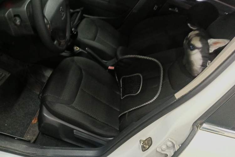 Used Peugeot 308 2014 Enjoy Edition Classic 1.6L Manual YouShang Model Left Front Seat