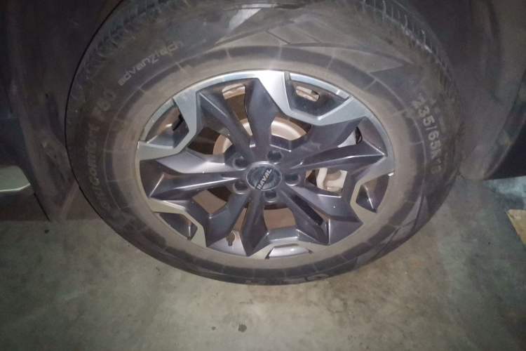 Used Haval DARGO 2021 2.0T DCT 4x4 Chinese Rural Dog Edition