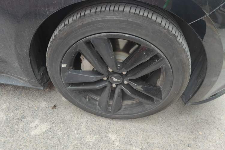 Used Ford Mustang 