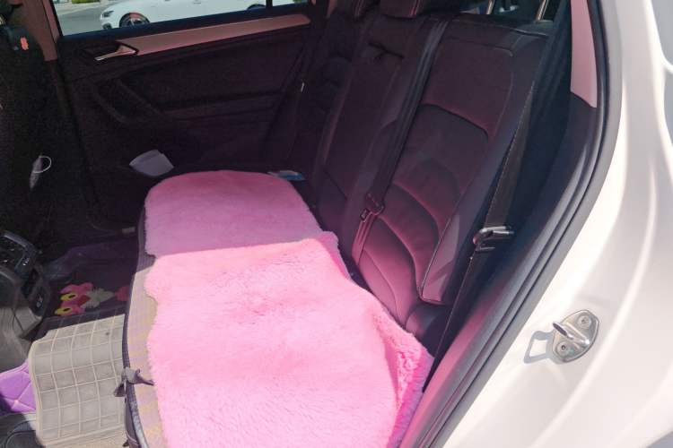 Used Volkswagen Tiguan L 2017 330TSI Automatic Two-Wheel Drive Luxury Edition Left Rear Seat