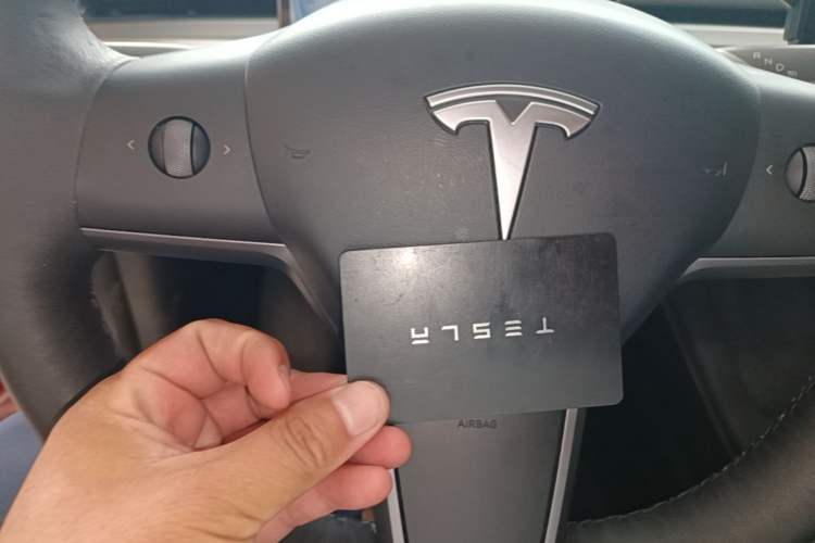 Used Tesla Model 3 2022 Rear-Wheel-Drive Version
