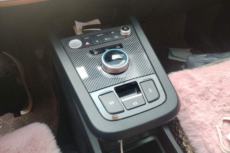 Used BYD e2 2020 Upgraded Version Long-Range Edition Luxury Model