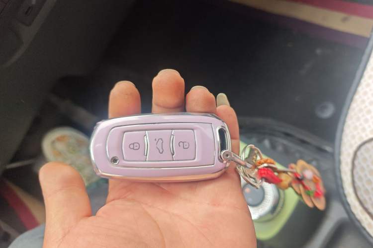 Used Geely Galaxy Panda 2023 Panda Mini 200km Endurance Bear
