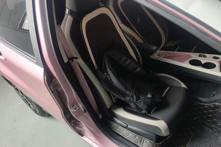 Used SOL E10X 2022 Flower Fairy Design Four-Leaf Clover Right Front Seat