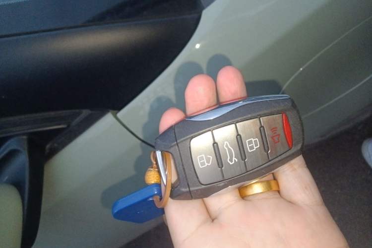 Used ORA White Cat 2020 305 km Luxury Version
