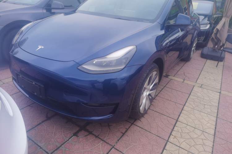 Used Tesla Model Y 2021 Long-Range All-Wheel-Drive Version 3D7