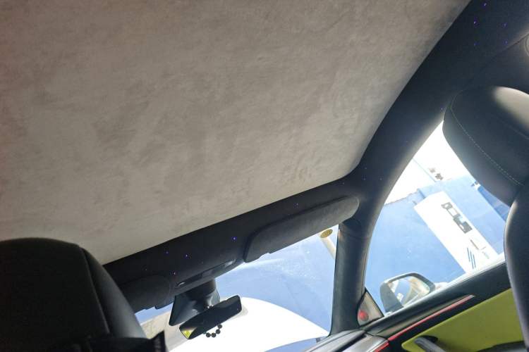 Used Tesla Model Y 2021 Performance High-Performance All-Wheel-Drive Version Headliner