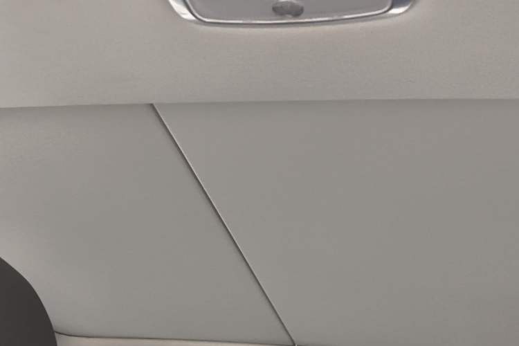 Used CHANGAN Ruicheng CC 2022 Blue Whale Edition 1.5T DCT Prestige Model