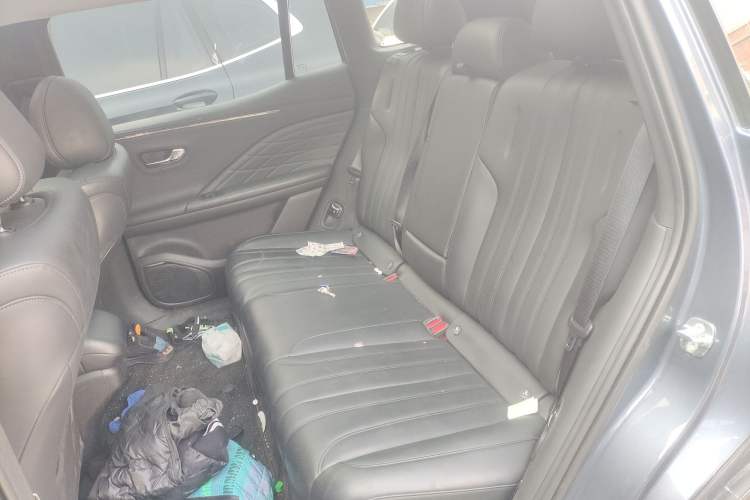 Used AION V 2024 Aion Tyrannosaurus 520 Intelligent Premium Edition Left Rear Seat