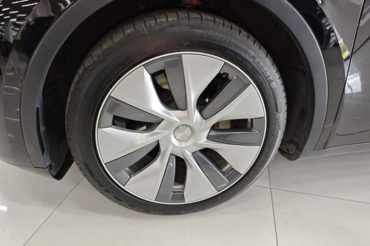 Used Tesla Model Y 2021 Standard Range Rear-Wheel Drive Version Exterior 4