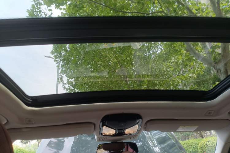 Used BMW iX3 2022 Leading Type Headliner
