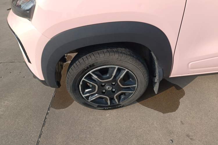 Used Dongfeng NAMMI EX1 2023 PRO Light Wind Edition Lightning Model
