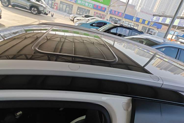 Used Geometry E Firefly 2022 401KM Lightning Tiger 4-Seater