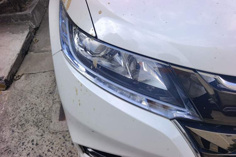 Used Honda Odyssey 2019 2.0L Rui-Changxiang Edition Right Front Headlight