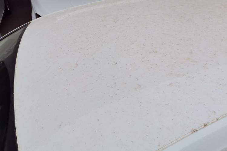 Used Volkswagen Golf 2018 1.6L Automatic Fashion Model