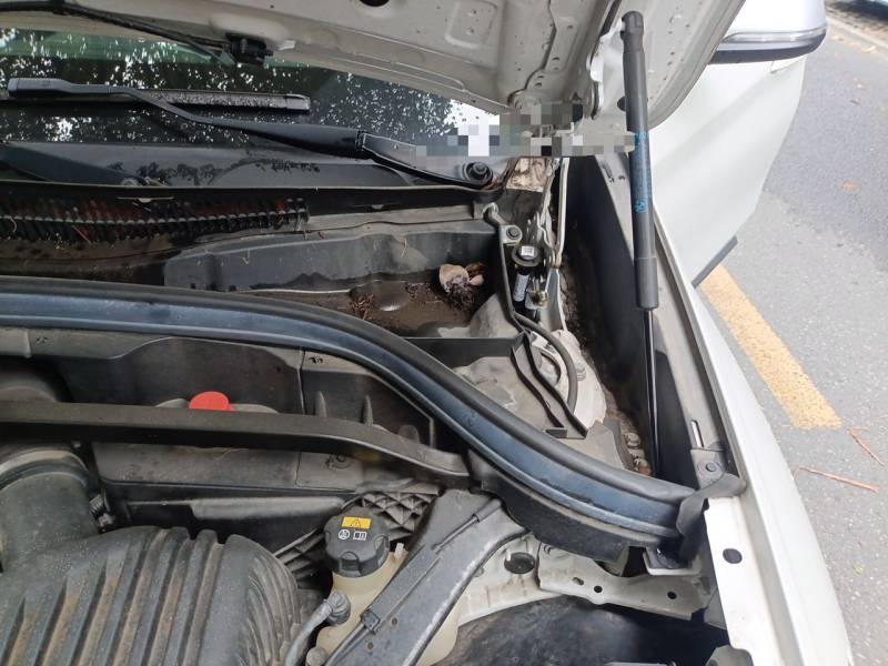 Used BMW X1 2022 sDrive20Li Fashion Model — 28