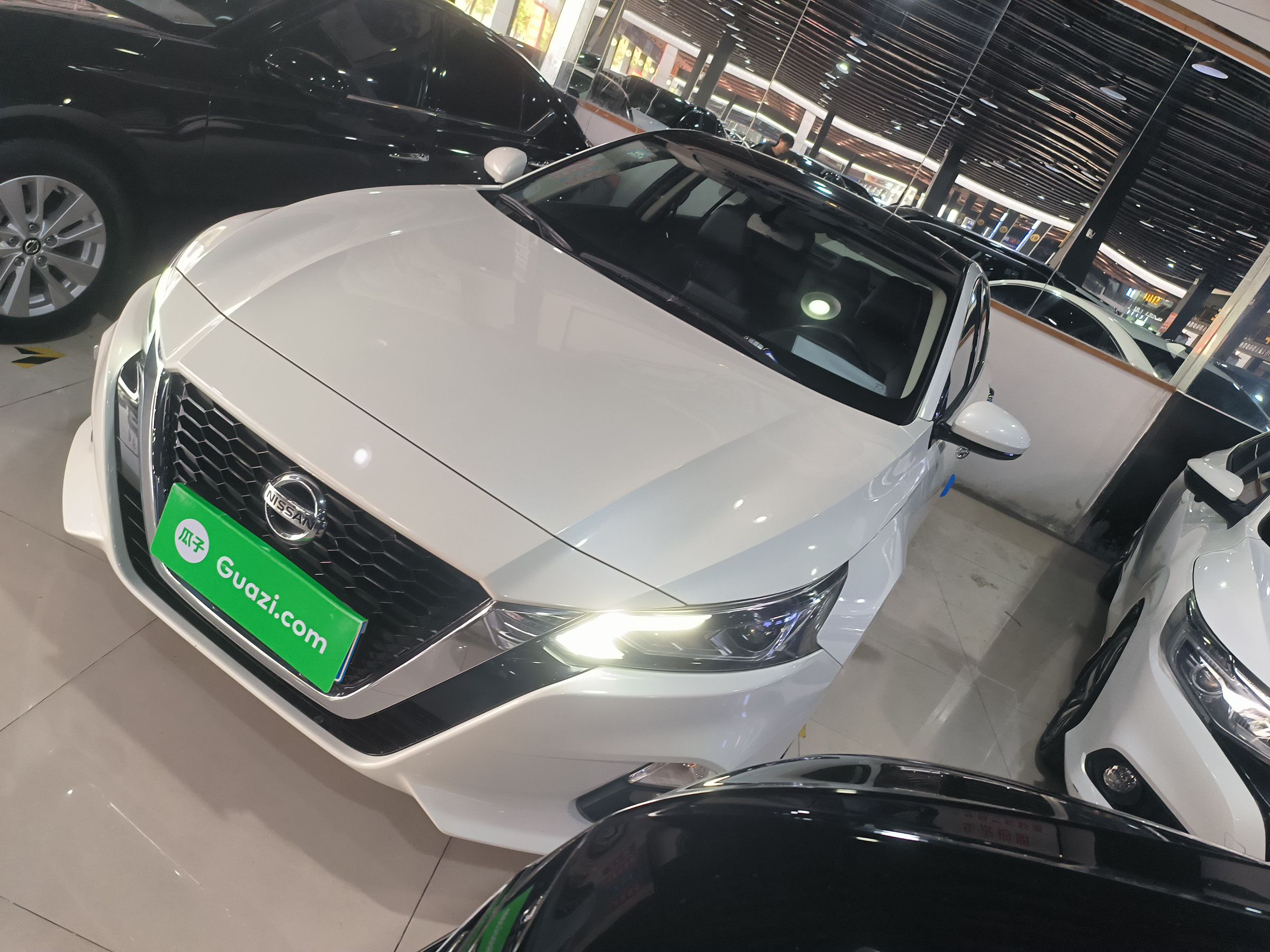 Parte inferior delantera