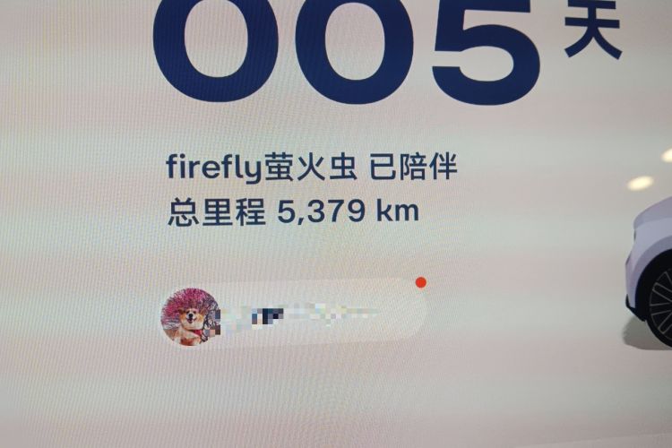 Used firefly 2025 Illuminated Edition
