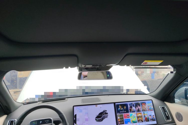 Used Li Auto L9 2024 Ultra Model Headliner