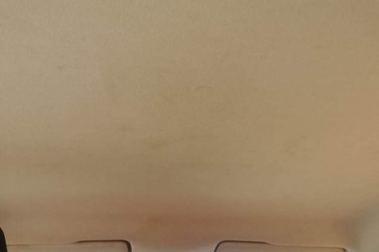 Used Volkswagen Santana 2019 1.5L Manual Fashion Edition China VI Standard Headliner