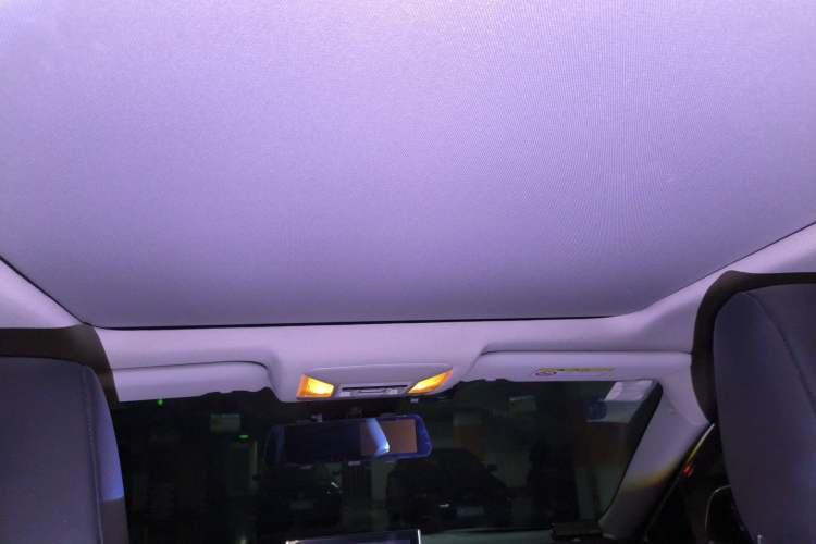 Used Toyota RAV4 2021 2.0L CVT Four-Wheel Drive Premium Edition Headliner