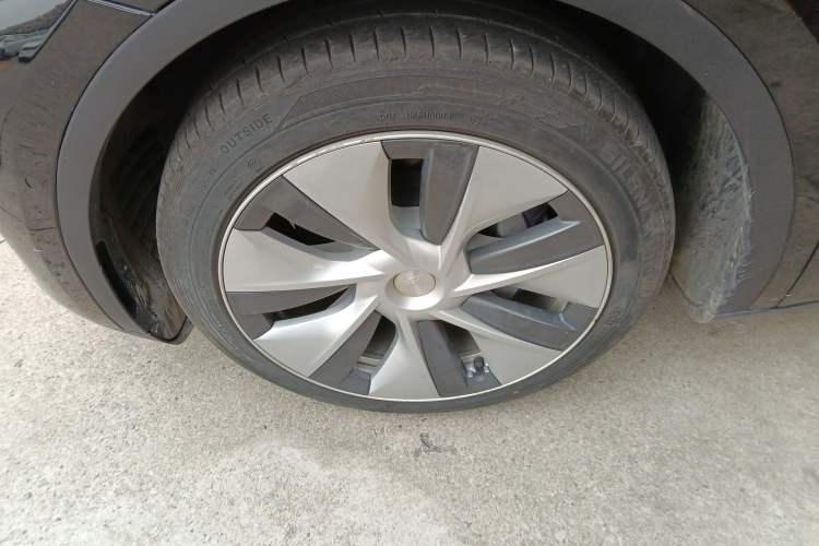 Used Tesla Model Y 2021 Standard Range Rear-Wheel Drive Version Exterior 4