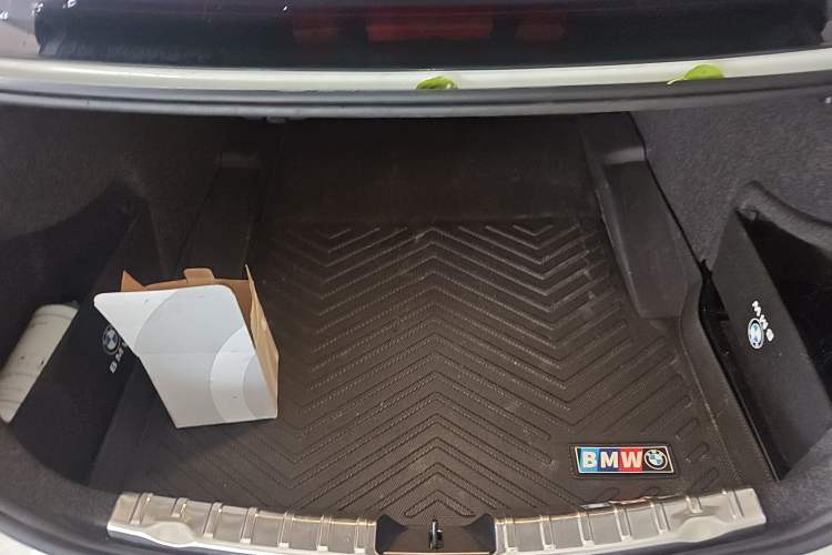 Used BMW 3 Series 2019 320Li M Sport Night Edition