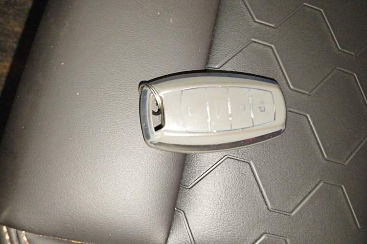 Used Haval DARGO 2021 1.5T DCT Two-Wheel Drive Border Collie Edition