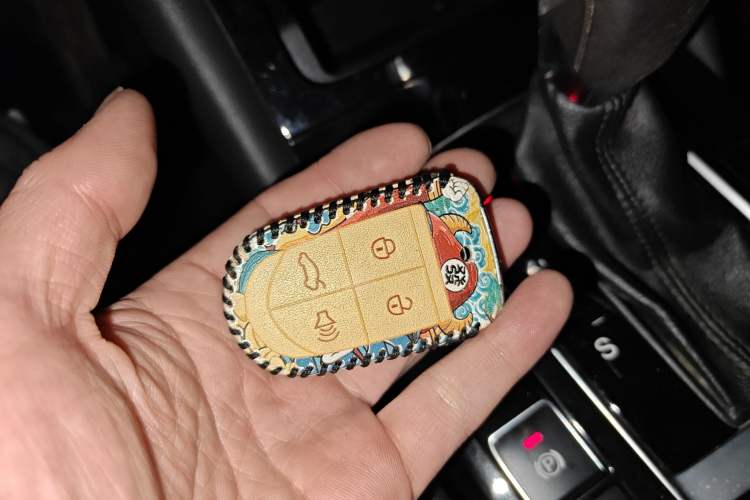 Used BORGWARD BX5 2017 20TGDI Automatic Two-Wheel Drive Pioneer Edition
