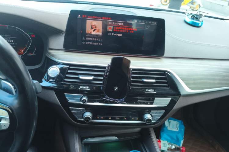 Used BMW 5 Series 2020 530Li Leading Edition Luxury Package