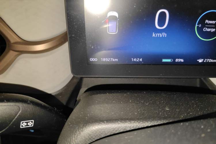 Used SOL E10X 2022 Flower Fairy Style Baby's Breath
