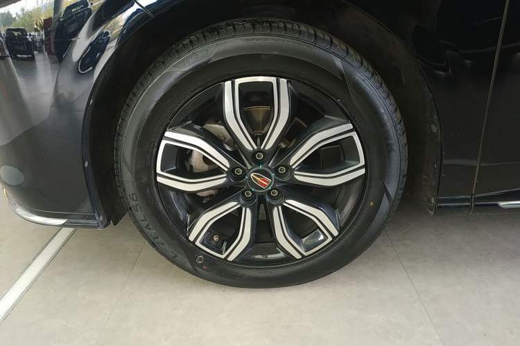 Used Hongqi HQ9 2023 2.0T Smart Connect Flagship Edition Exterior 4