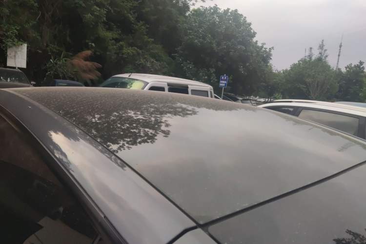 Used Tesla Model Y 2022 Long-Range All-Wheel-Drive Version Roof