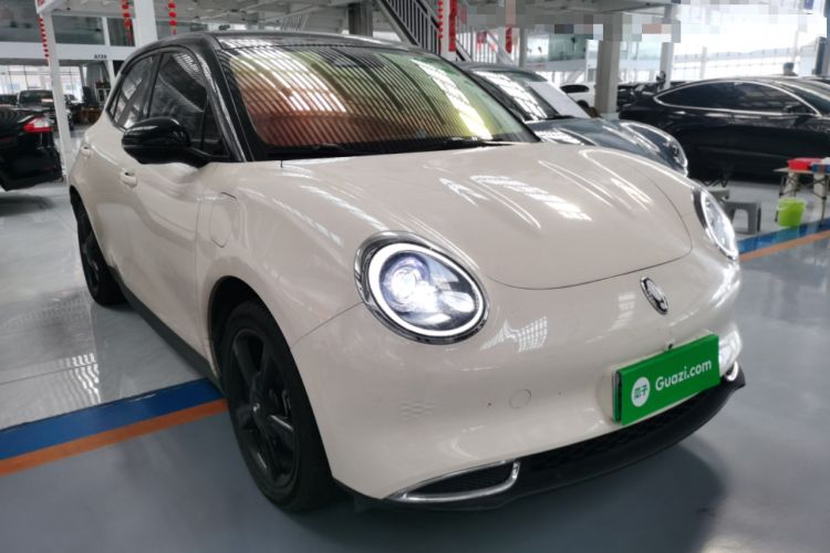 Used ORA Good Cat 2024 401 km Luxury Version