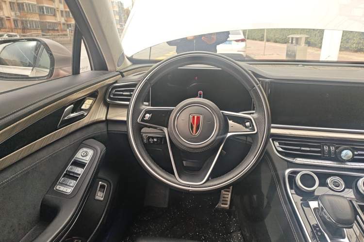 Used Hongqi H9 2020 3.0T Smart Connect Flagship Four-Seat Version