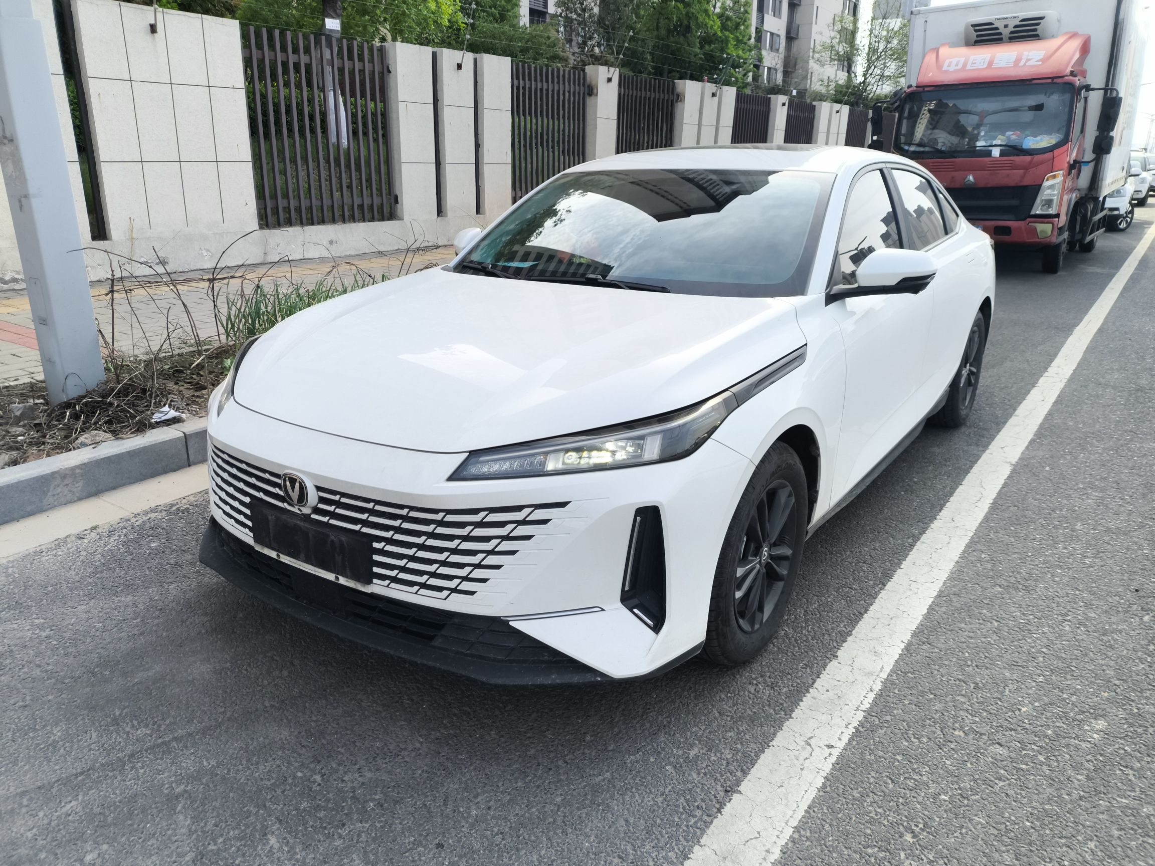 Parte inferior delantera