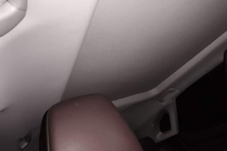 Used Lexus RX 2020 300 4x4 Elegant Edition China VI