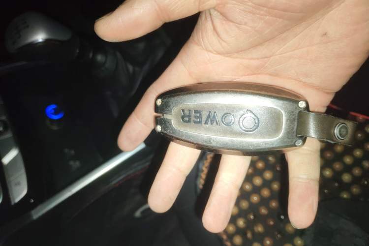 Used Great Wall Poer 2021 2.0T Commercial Version Manual Diesel Two-Wheel Drive Elite Long-Box GW4D20M