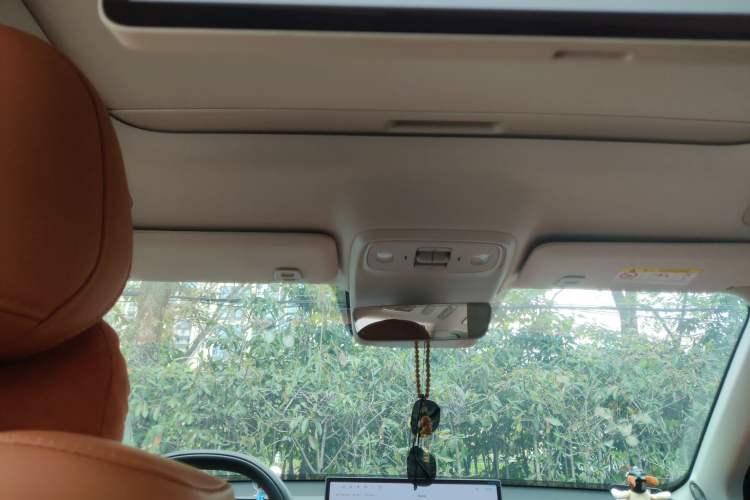 Used Leapmotor C16 2024 Range-Extended 200 Luxury Edition Headliner